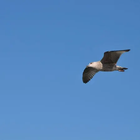 Carpe Diem 76 Dieppe